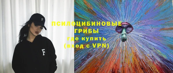 гидра Абдулино